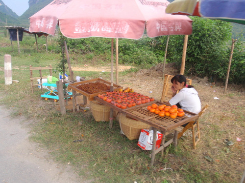 Roadside Persimmon Stand.